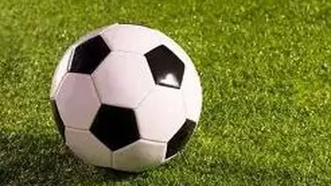 开运体育官网 资讯 105938 mol